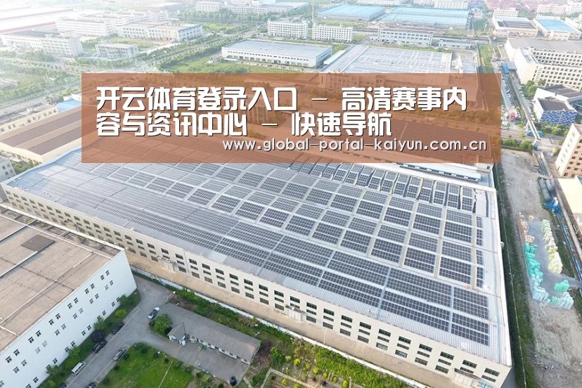 案例展示二