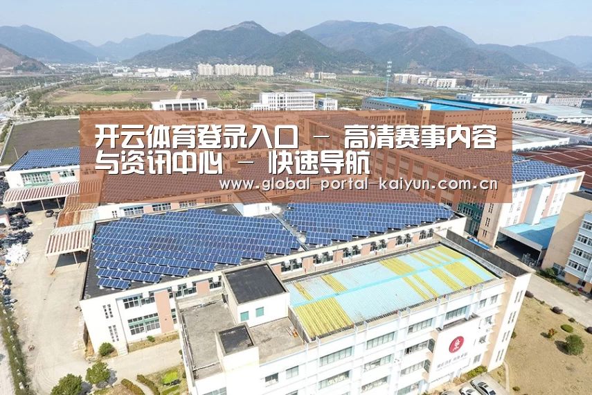 案例展示一