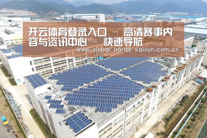案例展示一