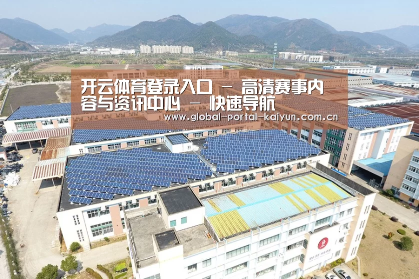 案例展示四