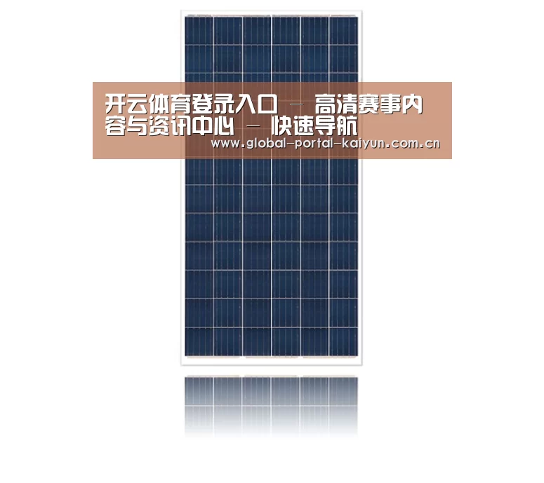 产品名称一