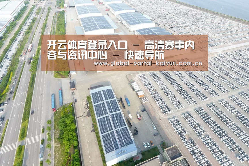 案例展示三