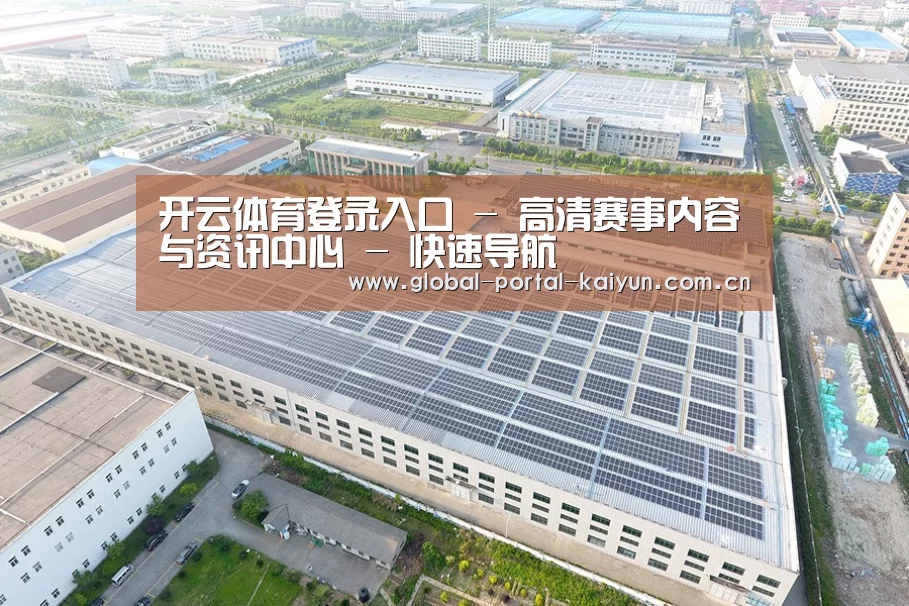 案例展示四