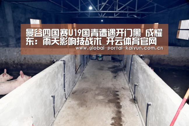 开云体育官网