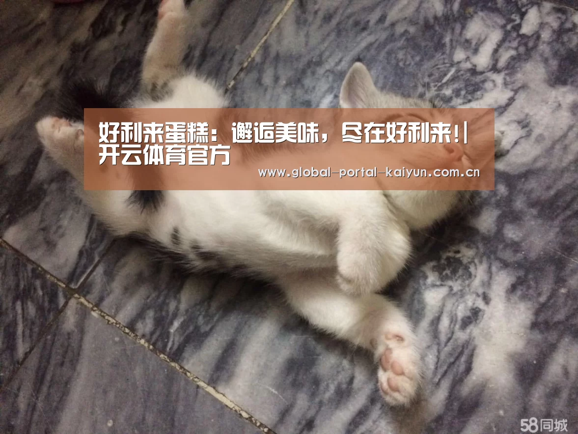 开云登录