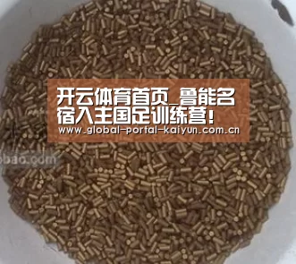 开云体育首页_鲁能名宿入主国足训练营!球