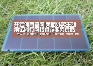 开云体育官网|美团外卖主动承诺履行网络餐饮服务食品安全主体责任的提议(图3) 开云体育官网